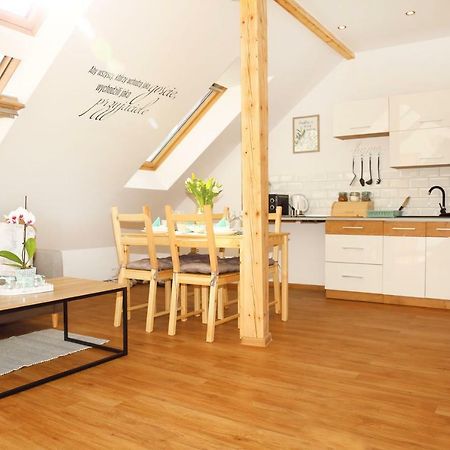 Apartament W Rynku Ustrzyki Dolne Extérieur photo